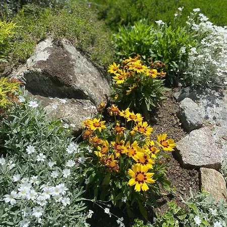 Chalet A Ceresole Reale Nel Parco Gran Paradiso * Ceresole Reale