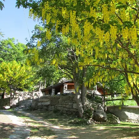 Chalet Chalet A Ceresole Reale Nel Parco Gran Paradiso *