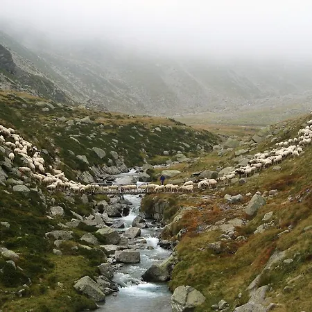 A Nel Parco Gran Paradiso * Ceresole Reale