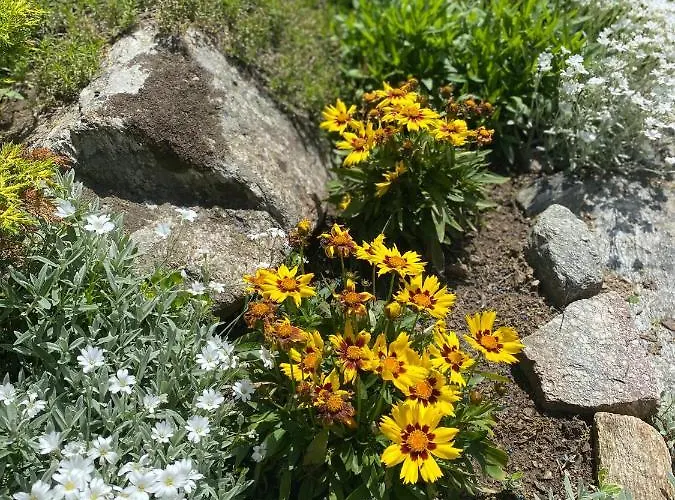 A Nel Parco Gran Paradiso * Ceresole Reale