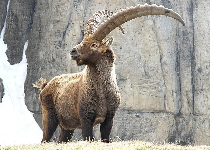 A Nel Parco Gran Paradiso Horská chata