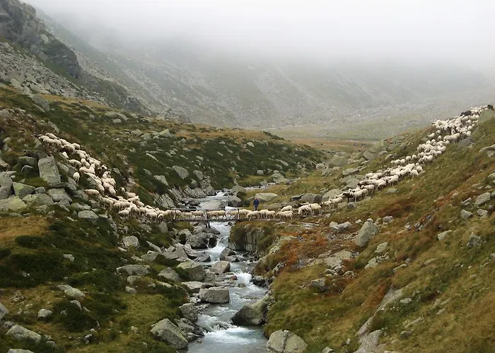 A Nel Parco Gran Paradiso * Ceresole Reale